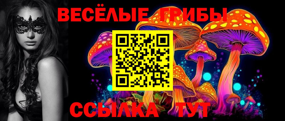 Галлюциногенные грибы Cubensis  Галлюциногенные грибы Cubensis  Янаул  Вход с VPN 